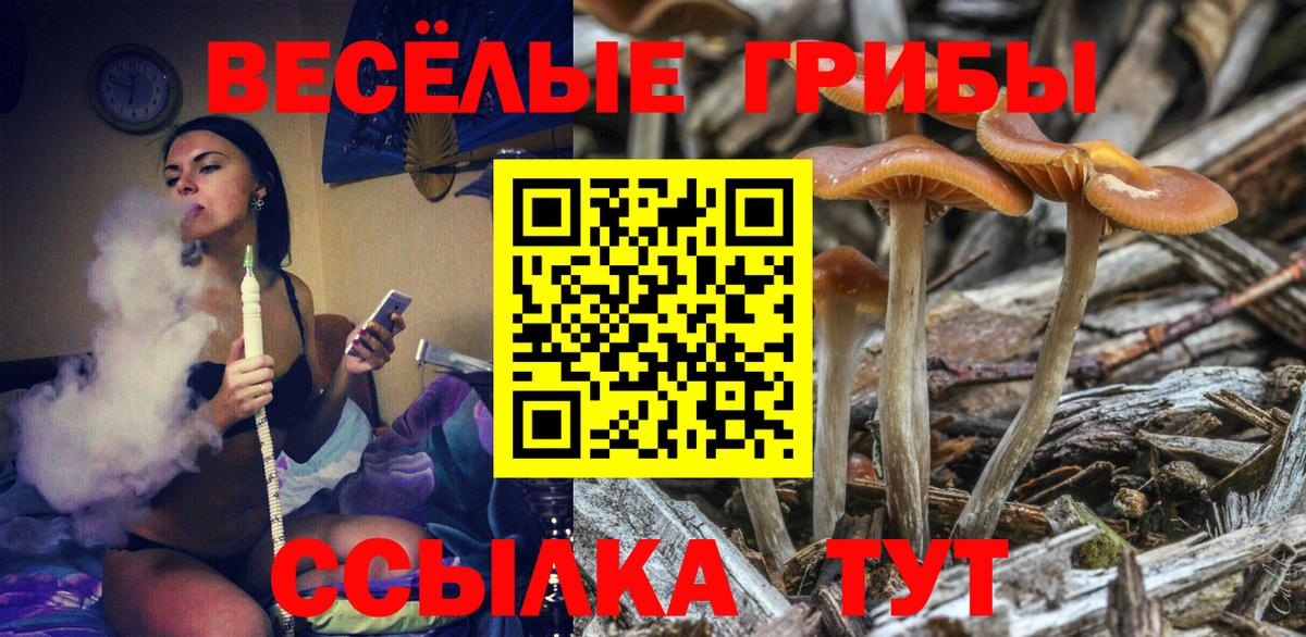 Галлюциногенные грибы GOLDEN TEACHER  Вход с VPN  что такое наркотик  Обь 